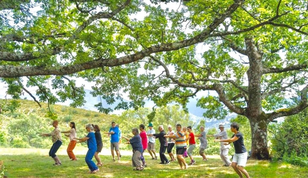 Umece chija tai chi beograd